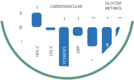 Visual Animation Blue Image1
