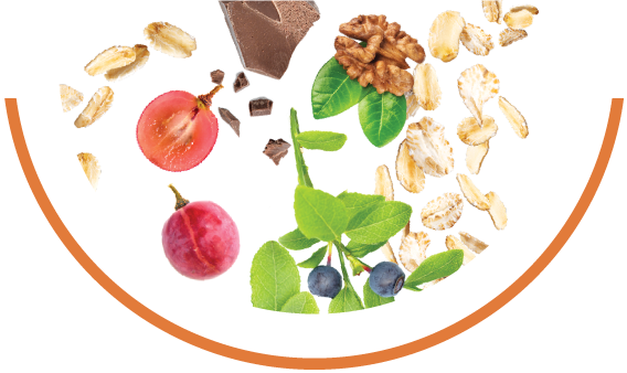 Visual Animation Blue Image1